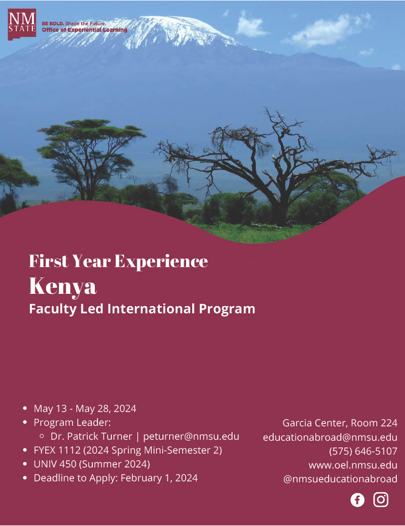 Kenya Study Abroad Flyer